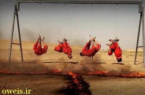 زنده سوزاندن پدر و سه پسر توسط داعش